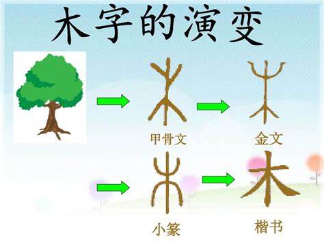 木字部首的字繁體|國家教育研究院